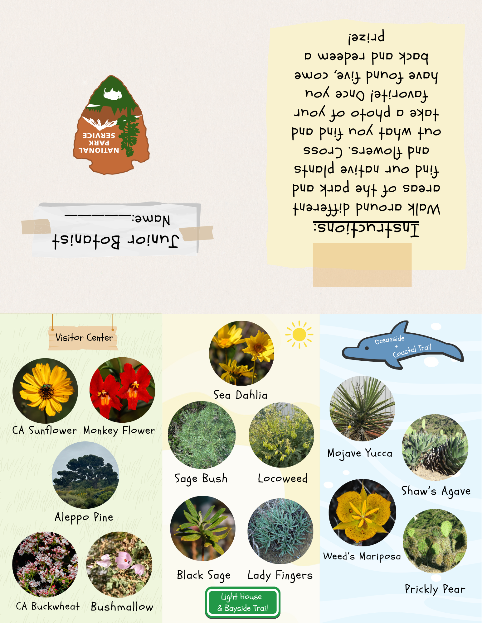 Junior Botanist scavenger hunt, foldable book and native plant identification grid