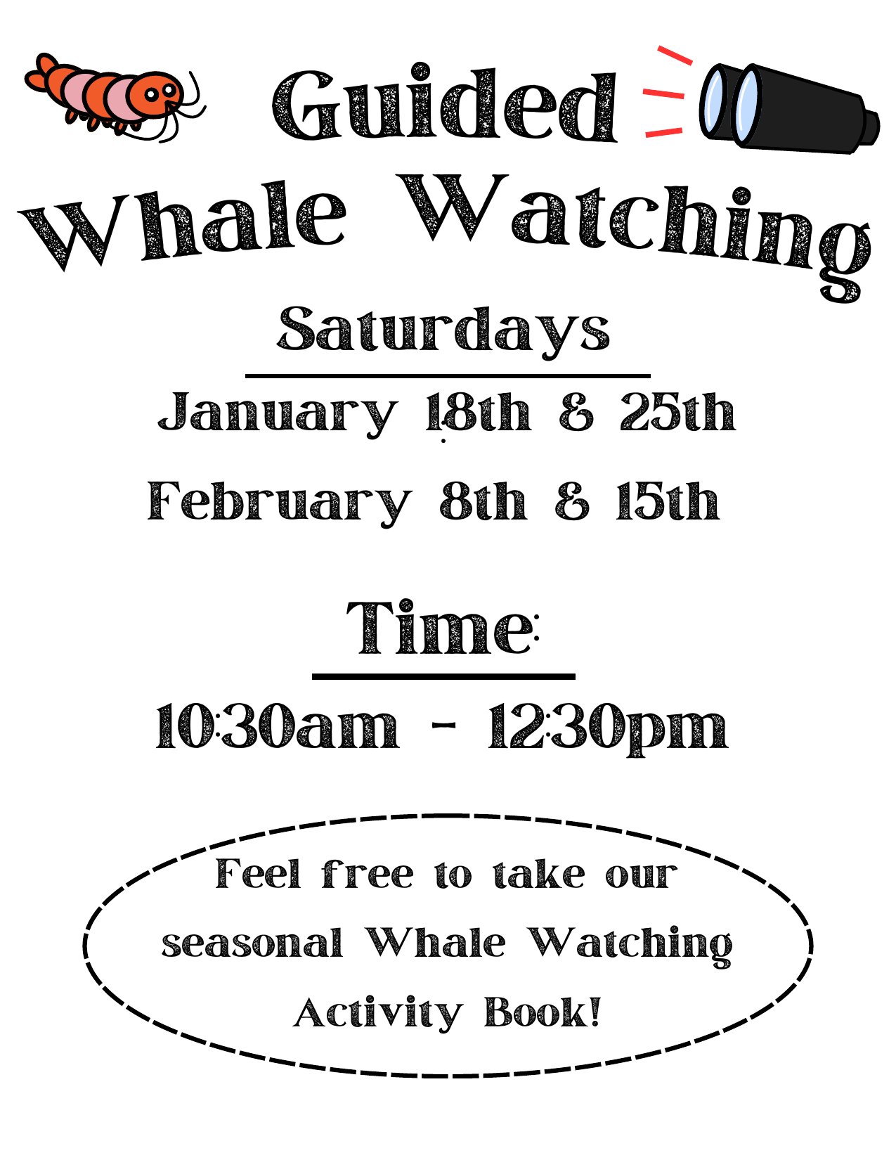 Guided Whale Watching poster